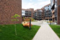 onr-05-2026-_116-of-233_.jpg